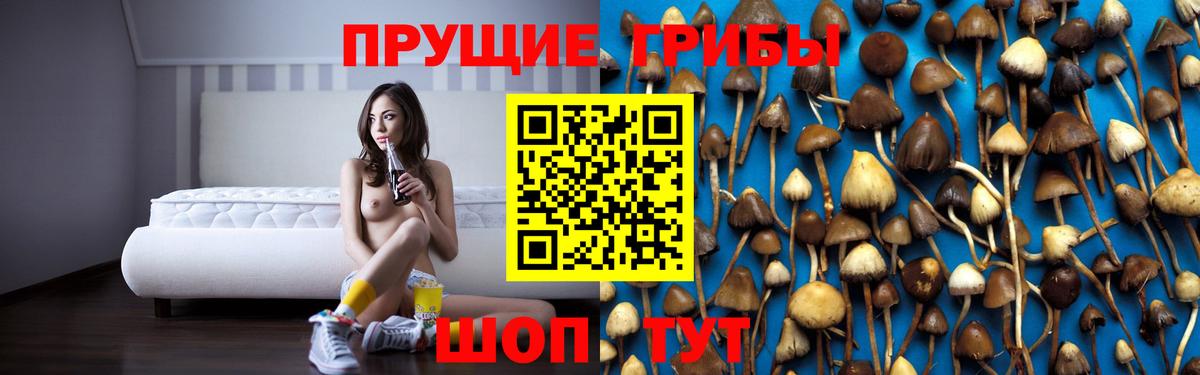 Галлюциногенные грибы GOLDEN TEACHER Шахты